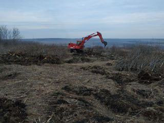 Servicii defrișări, excavator foto 3