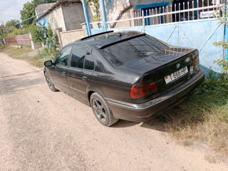 BMW 5 Series foto 5