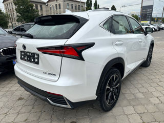 Lexus NX Series foto 5