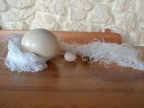 страусиные яйца пищевые foto 3