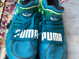 Puma