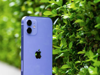 iPhone 12 64 GB от 588 лей в месяц! Гарантия бесплатно! foto 1