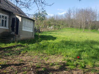 Vind casa tip vila in satu Boscana.20 km de la Chișinău.  15 ari Se poate de construit casa foto 2