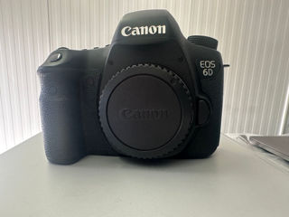Canon 6D  5280 de poze făcute foto 1