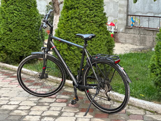 Pegasus bicicletă