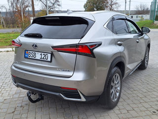 Lexus NX Series foto 4