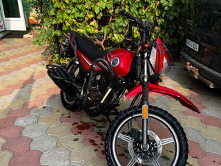 Viper 250 foto 1