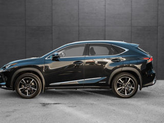 Lexus NX Series foto 5