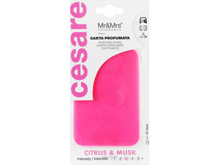 Cesare Fuchsia card parfumat