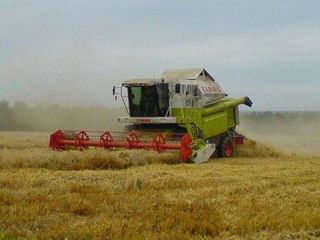 Combine claas bune.Recoltam cereale,floarea soarelui si porumb!!!Уборка урожая!! foto 1