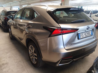 Lexus NX Series foto 9