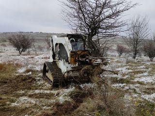 Bobcat, defrișare terenurilor agricole. bobcat foto 3