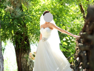 Шикарное свадебное платье pronovias, модель barbate, испания прокат, продажа