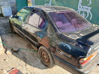 Nissan Primera foto 3