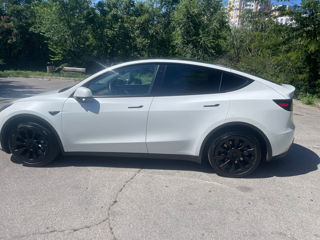 Tesla Model Y foto 4