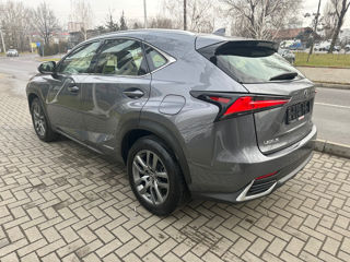 Lexus NX Series foto 7