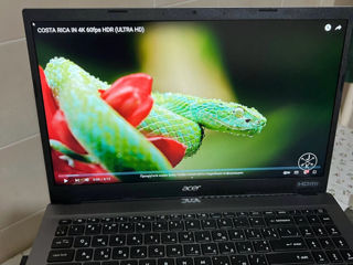 Acer  extensa 15