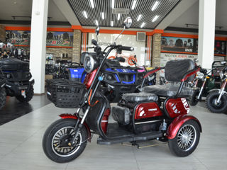 Altă marcă Electric 600w