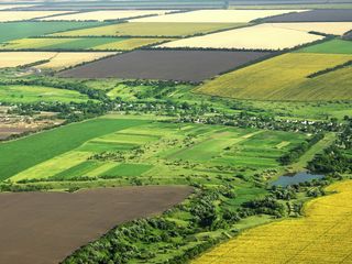 Terenuri agricole spre vînzare foto 1