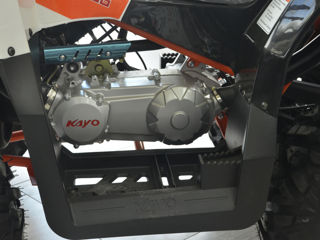 Kayo Model nou 2023/180cc foto 3