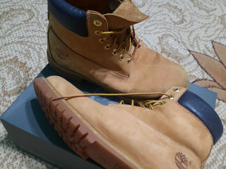 Timberland