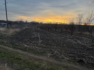 Teren Negrești foto 5