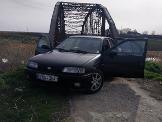 Nissan Primera foto 8