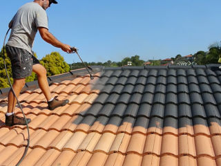 Покраска крыши / vopsirea acoperisului foto 1