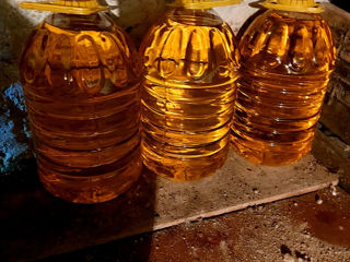 Se vinde ulei presat la rece 1tonă.Macuc. foto 2