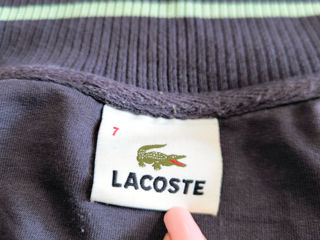 Lacoste roland garros теннис мастерка размер XL