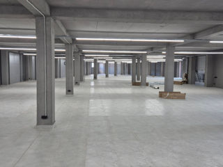 Chirie Spatiu Comercial 1000m2 foto 5