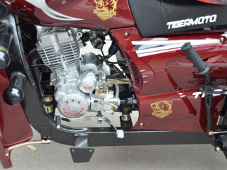 Tiger 250ccReducere ! foto 5