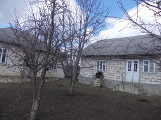 Se vinde casa in  Raionul Sîngerei s.Crigorăuca foto 2