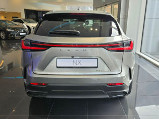 Lexus NX Series foto 4