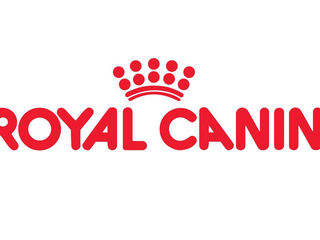 Сухие корма Royal Canin на развес с доставкой на дом!! foto 1