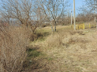 Продам участок 15 соток на берегу Днестра в пригороде г.Дубоссары(Кочиеры) foto 4
