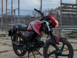 Alpha Moto 2019