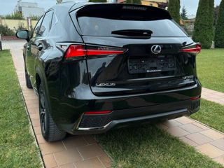 Lexus NX Series foto 6