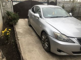 Razborca lexus is