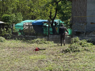 Curățenia grădini , ogrăzii  tăierea ierbii  foto 2
