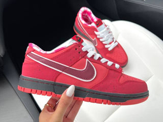 Nike SB Dunk Lobster Red Women's