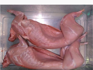 Продаю мясо кролика 140л кг