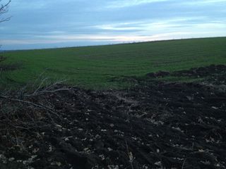 Se vînde  la Telenești 4,5 hectare de pămînt arabil,  la pret de 3500 Euro pentru un hectar. фото 4