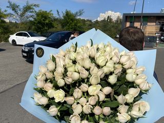 Розы в Молдове. Оптовые цены. Доставка по всей Молдове. foto 7