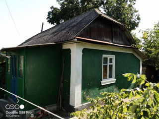 Продам два дома в селе Тырново foto 7