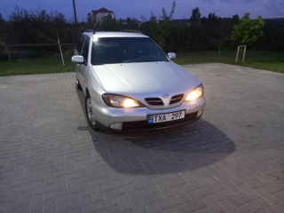 Nissan Primera foto 6