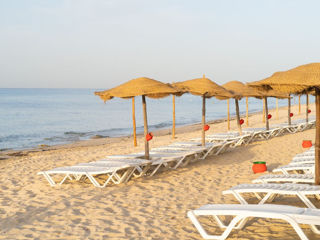 Novostar Khayam Garden Beach & SPA 4*.Тунисия - почувствуй невороятную атмосферу Сахары. foto 13