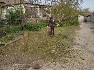 Facem curat in gradina linga casă curat la vila foto 1