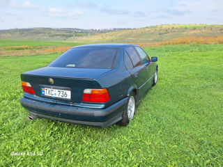 BMW 3 Series foto 5