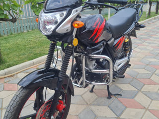 Viper 250 foto 0